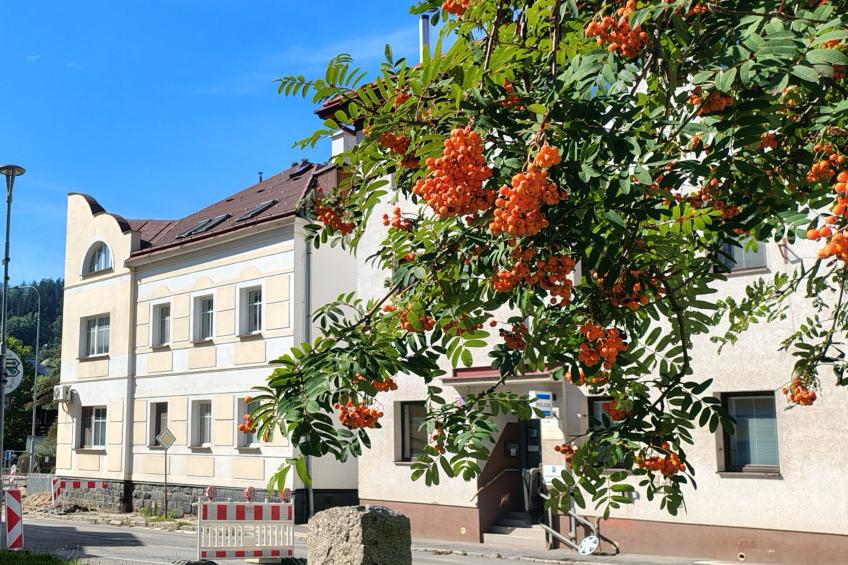 V&D 2 - foto 23