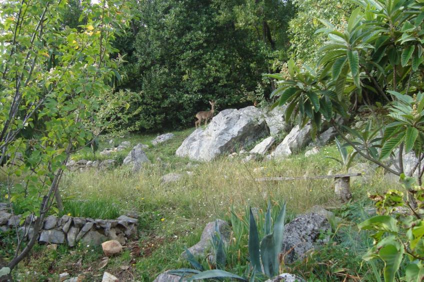 mit Balkon und Terrasse - foto 32