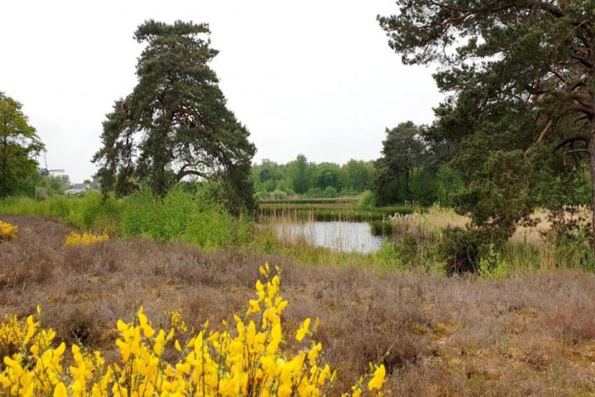 Vakantiepark 't Broeckhuys 6 - foto 28