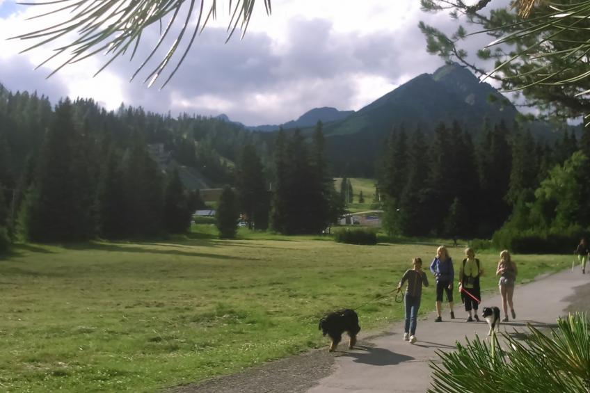 Cottage Tatry - foto 23