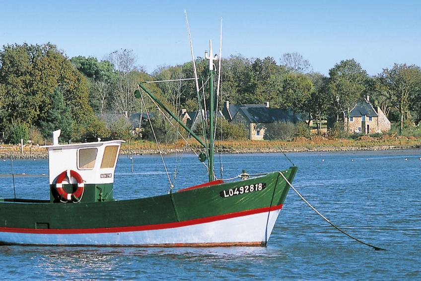 Maison du Néguan - foto 39