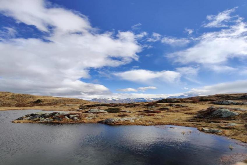 Les Tetras N°60 - 3P8 - foto 33