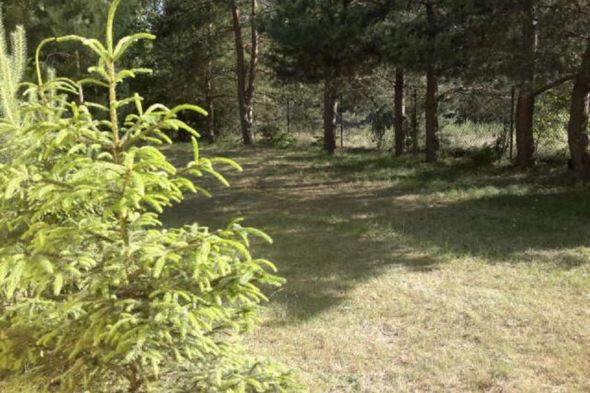 mit eingezäuntem Grundstück am Wasser - foto 19