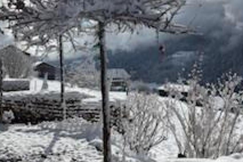 Ferienhaus Jukale, (Luzein), ferienhaus_jukale - foto 16