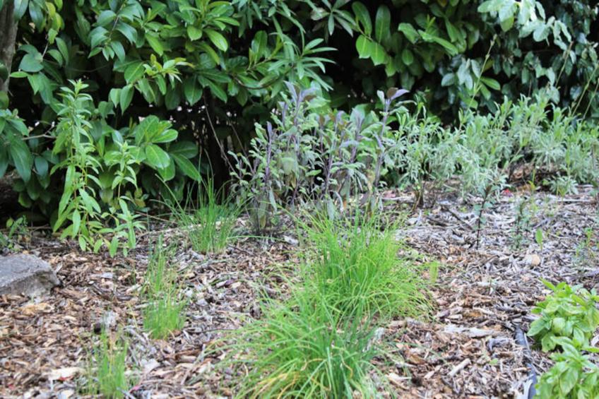 Lou Petarel, Mas Provençal Typique Avec Piscine Partagée, Calme, Nature - foto 18