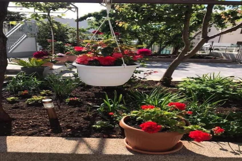 Apartments Villa Tanja - Two Bedroom Apartment with Terrace - foto 14