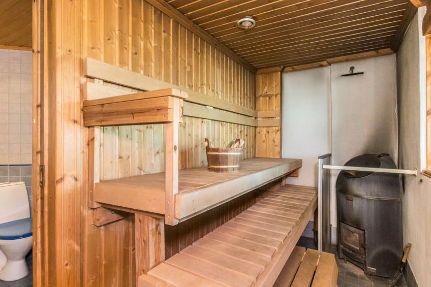 Puolen hehtaarin metsä - foto 11