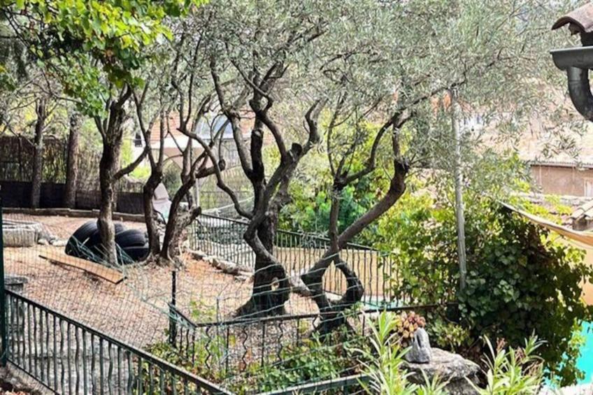 Villa Balleti - Piscine Privée Avec Vues - foto 47