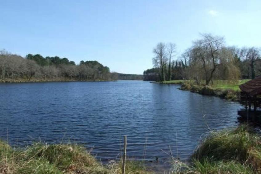 Gemütliches Ferienhäuschen im Grünen mit Terrasse - foto 20