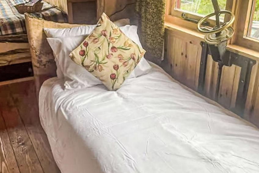 Shepherds Hut - foto 10