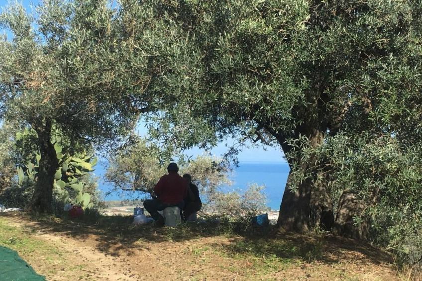 Großes Studio mit Terrasse mit Meerblick - foto 40
