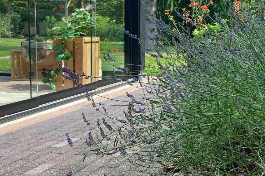 De Groninger Zeeuw - foto 53