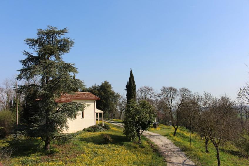 Montegrande - foto 34