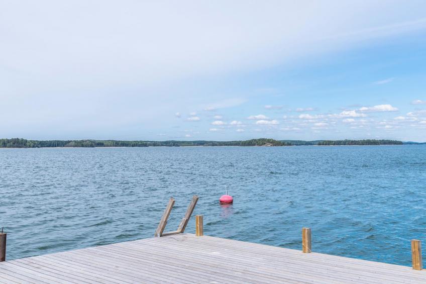 Villa pääsky - foto 37