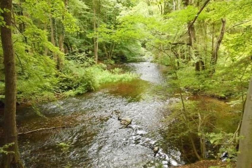 Turmwohnung - foto 15