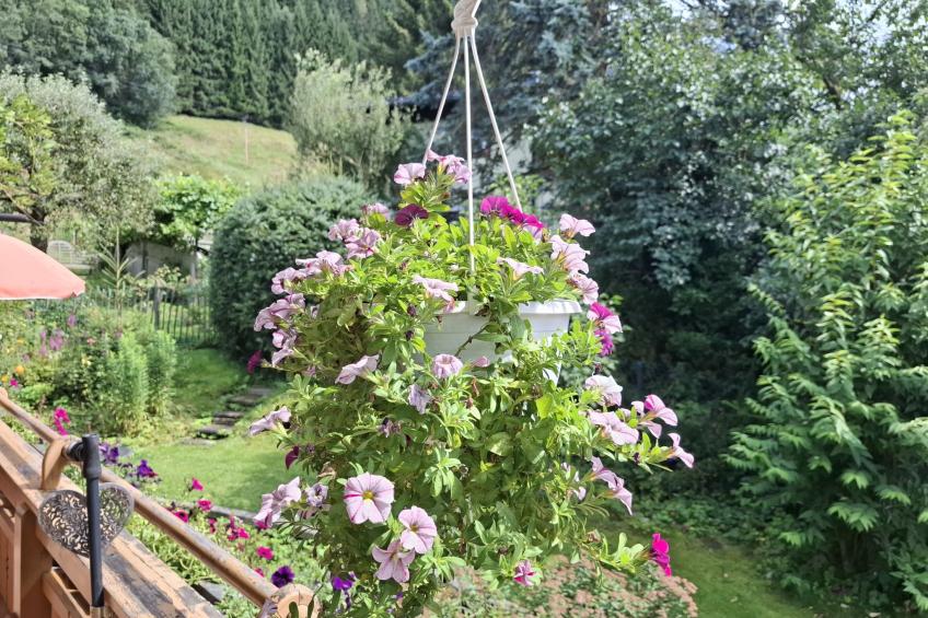 Martinsklause - foto 38