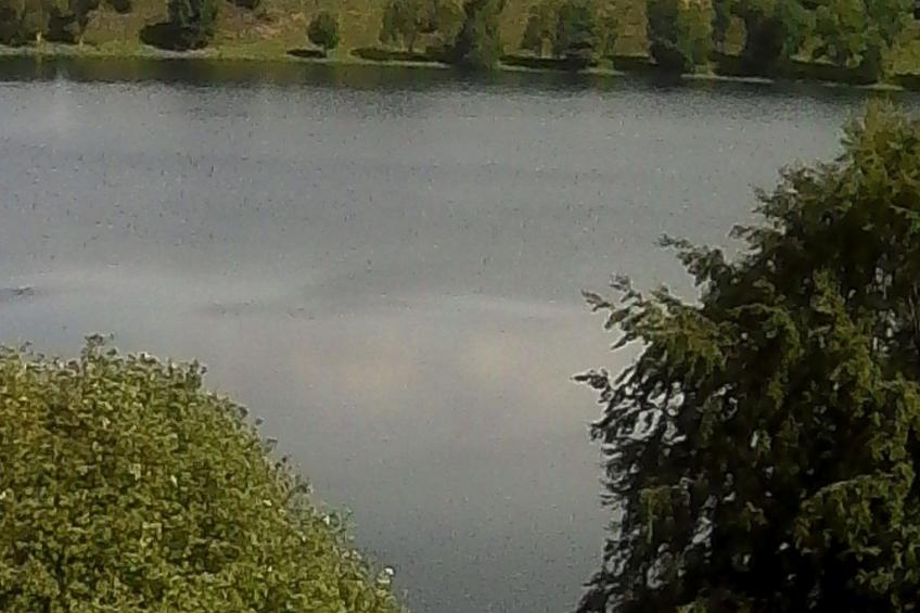 Elztalblick - foto 38