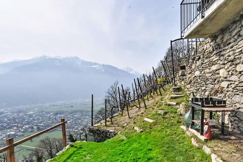 Al Vignale - Le Terrazze - foto 37