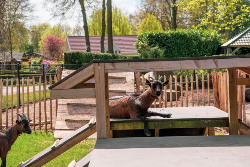 Boekhorst Royal 6 - foto 12