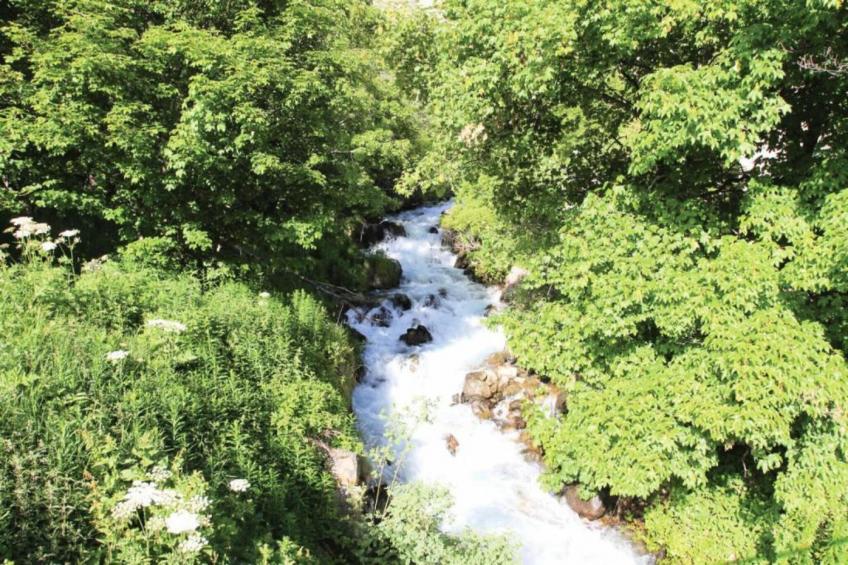 Chalet Clochettes - foto 36