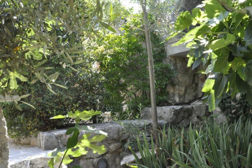 Villa Viktoria - foto 35