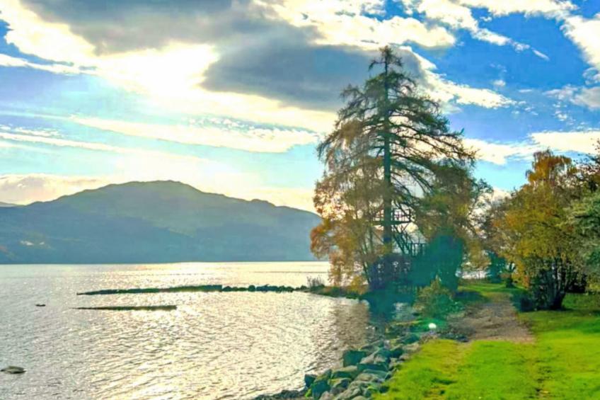 The Granary - foto 63