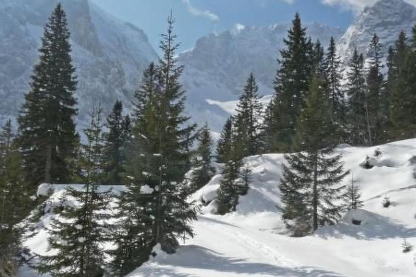 Haus Schönberg - foto 25