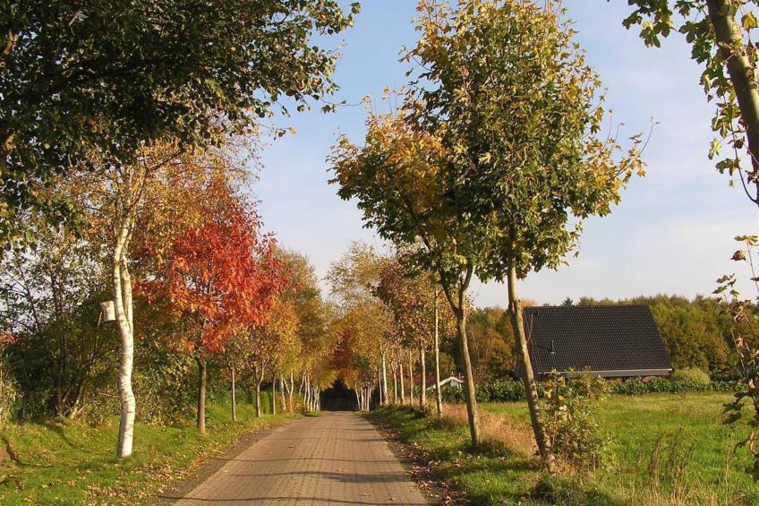 Bungalow Hechthausen - foto 18