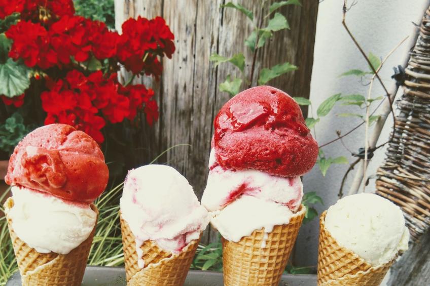 mit Terrasse auf einem Bauernhof - foto 32