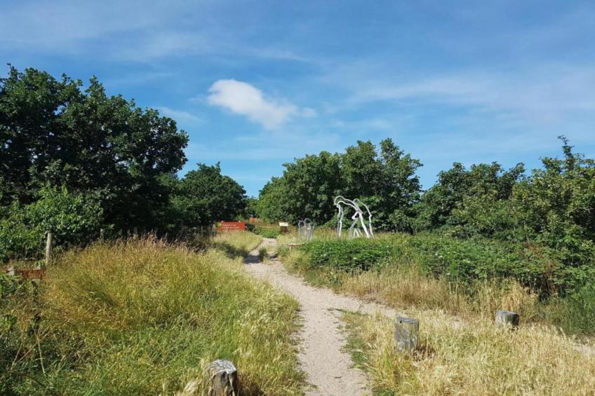 Bungalowpark de Horn - foto 38