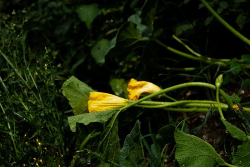 Suite Empire - foto 20