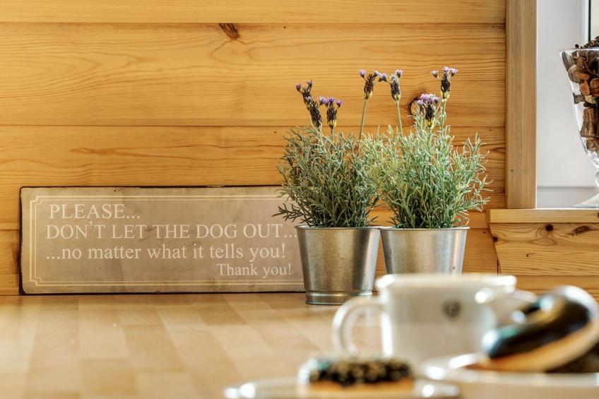 "Goti" - 1km to the inlet in NE Jutland - foto 13