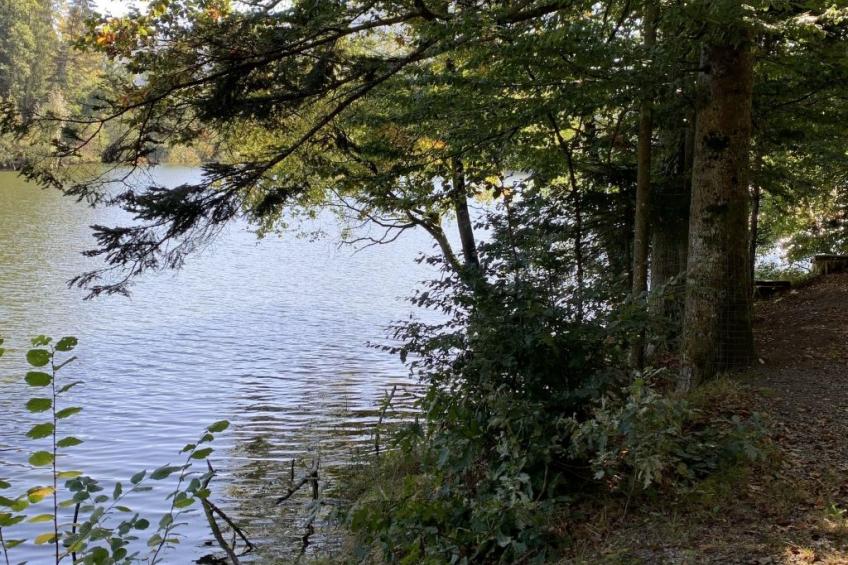 Gemütliche Ferienwohnung mit gemeinsamem Pool - foto 38