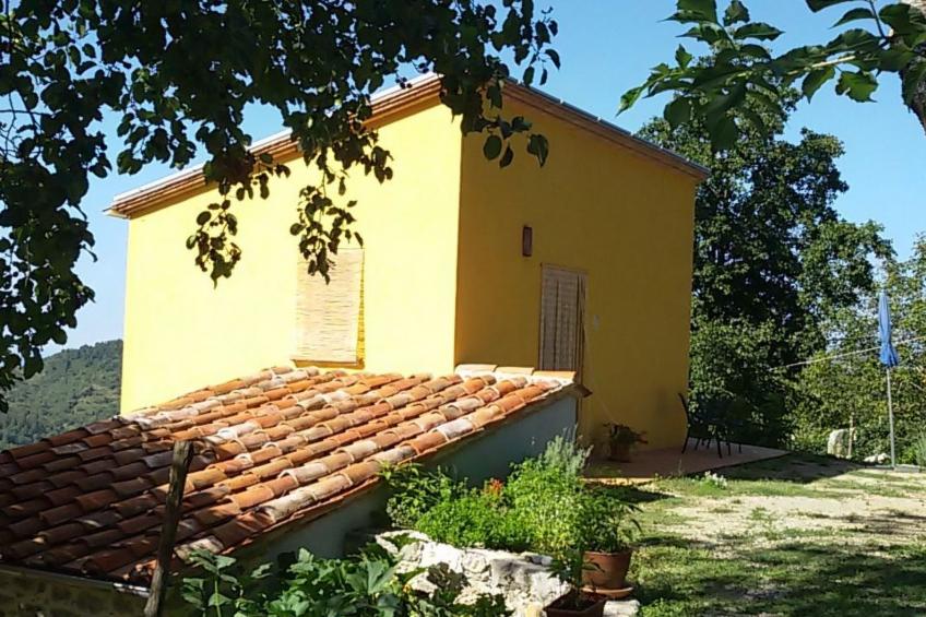 Kleines feines helles Appartment im Gruenen mit Meerblick