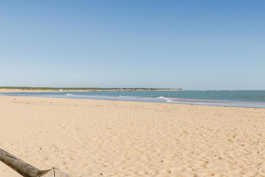 L Ocean N°40 - 2P5 - foto 13