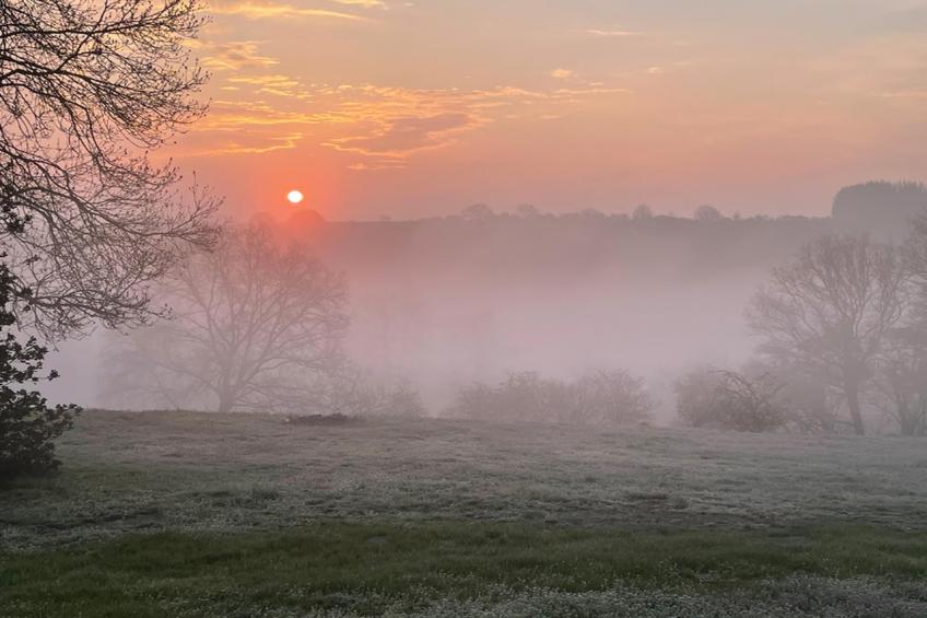 La Vue Phénoménale - foto 33