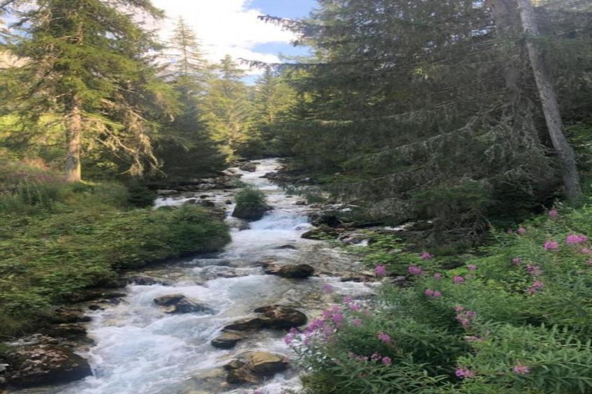 Chalets Les Amis 1 - foto 37