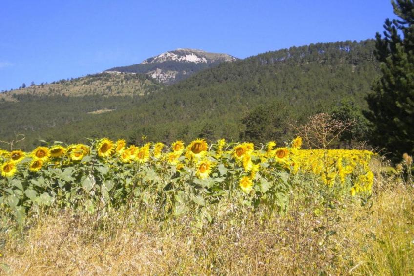 Maison de vacances - MARIGNAC-EN-DIOIS - foto 31