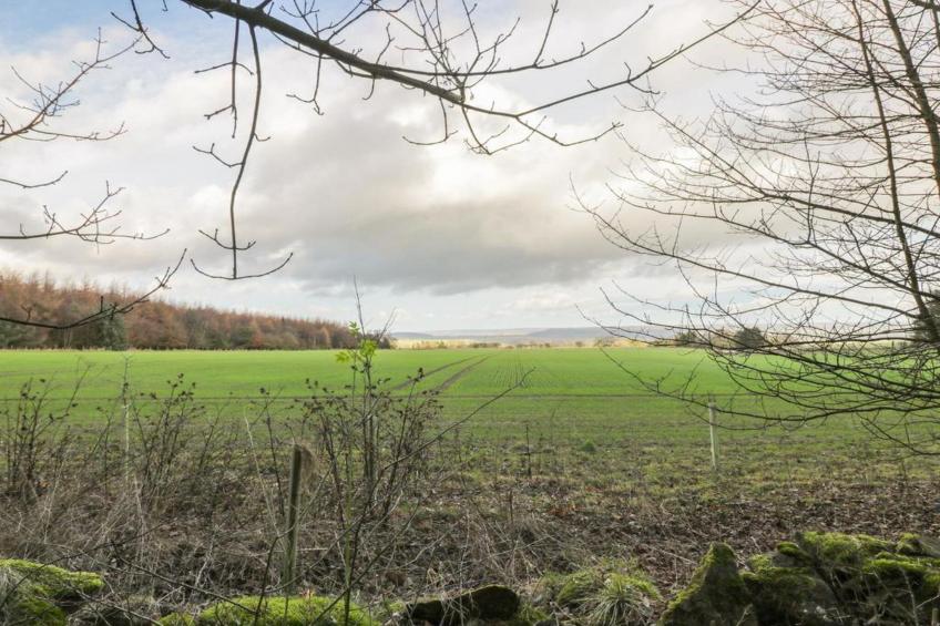 Swaledale Hall Cottage - foto 30