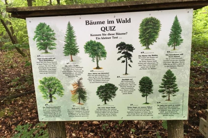 Bungalow Mecklenburgische Seenplatte - foto 22