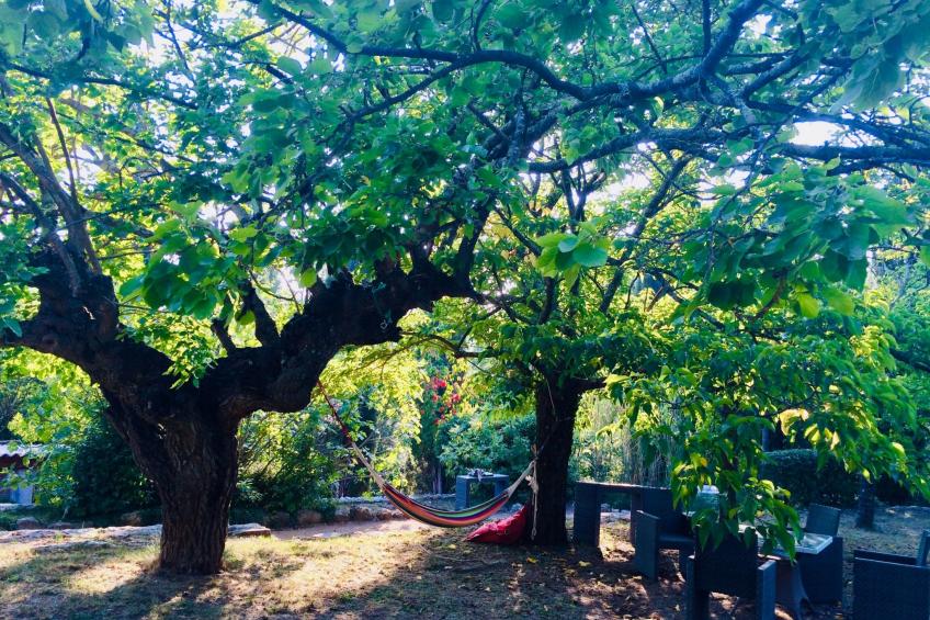 Bergerie de Peymeyan - foto 7