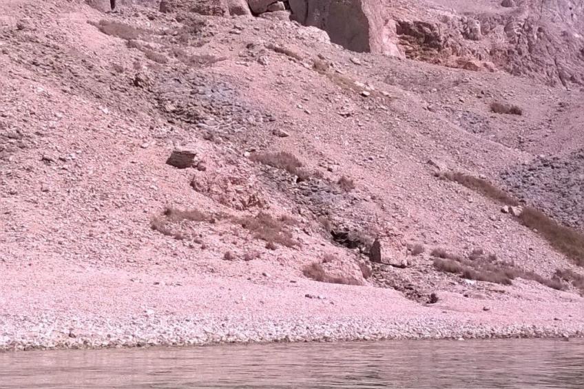 mit Blick auf das Wasser - foto 41