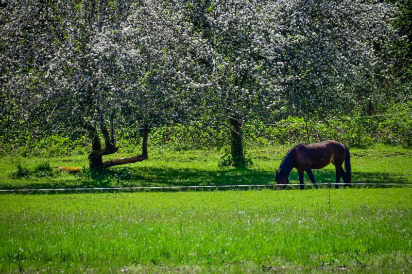 Gorski Raj - foto 36