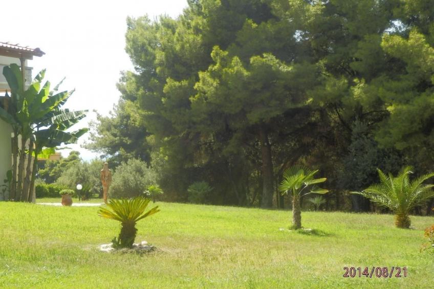 Villa Chris - foto 9