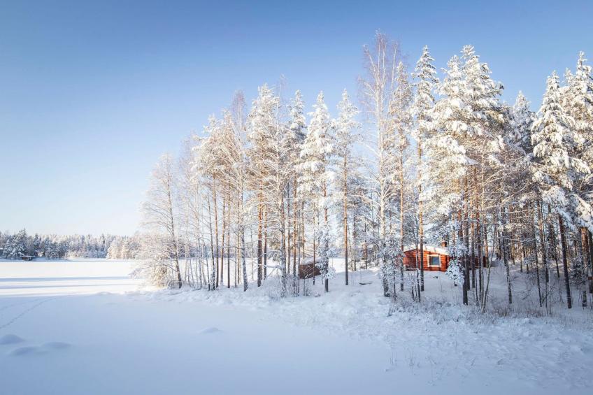 Riihiniemi (raudanniemi) - foto 6