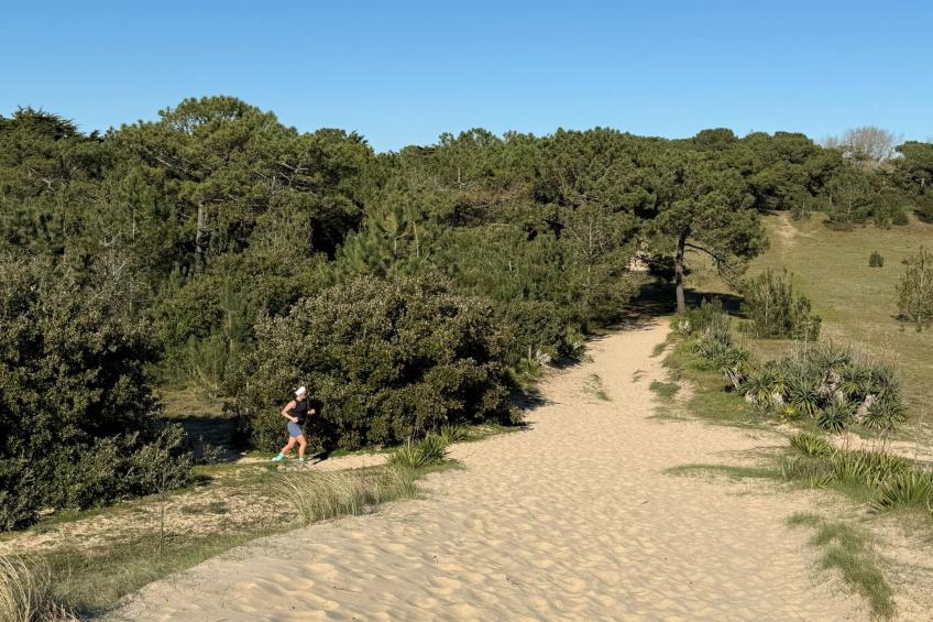 Maison de charme Les Yuccas - foto 16