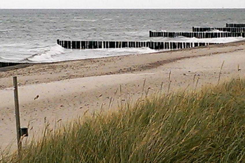 Ferienbungalow auf Gartengrundstück - foto 13