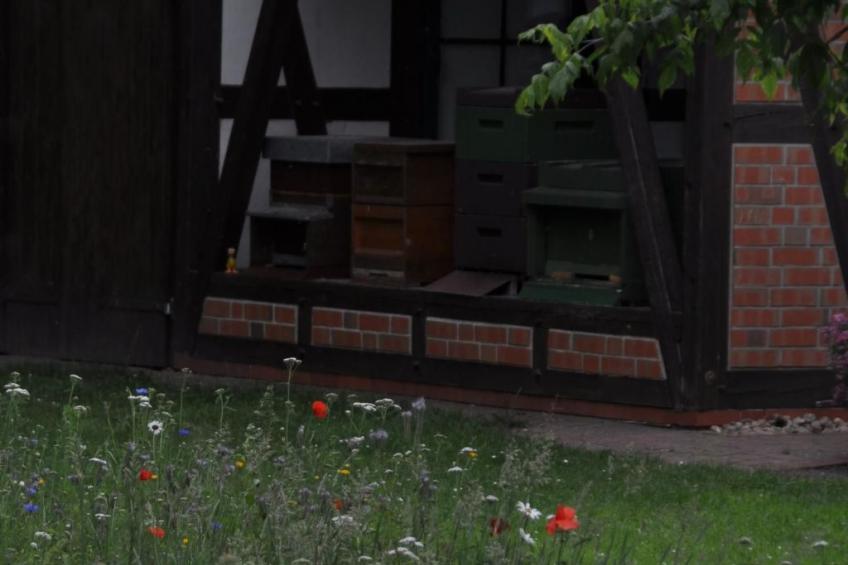 Rosalie - Ruhig - Zentral - Hochwertig - foto 36