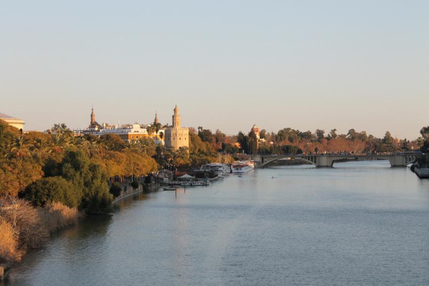 Sevilla 3p 5p - foto 10