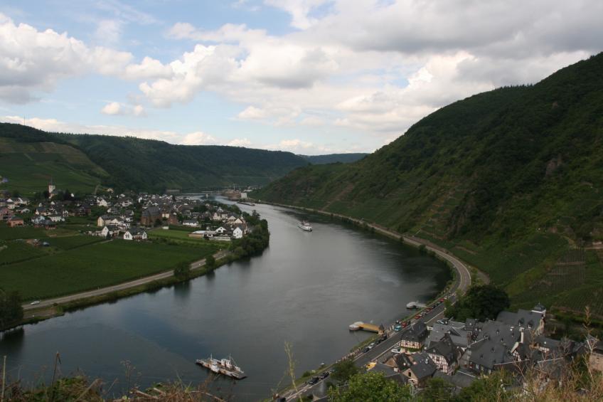 Petryhof - foto 38